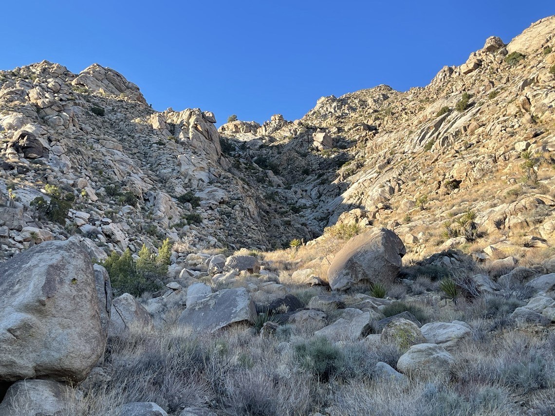 Old Woman Mountain and Providence Benchmark 03/27/2021 – TJ's