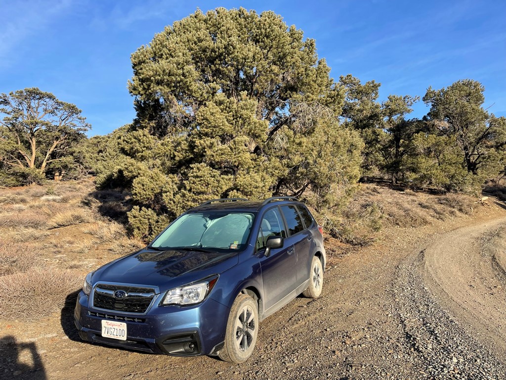 Mazourka Peak, Harkless Peak, and Black Mountain 03/03/2022 – TJ's